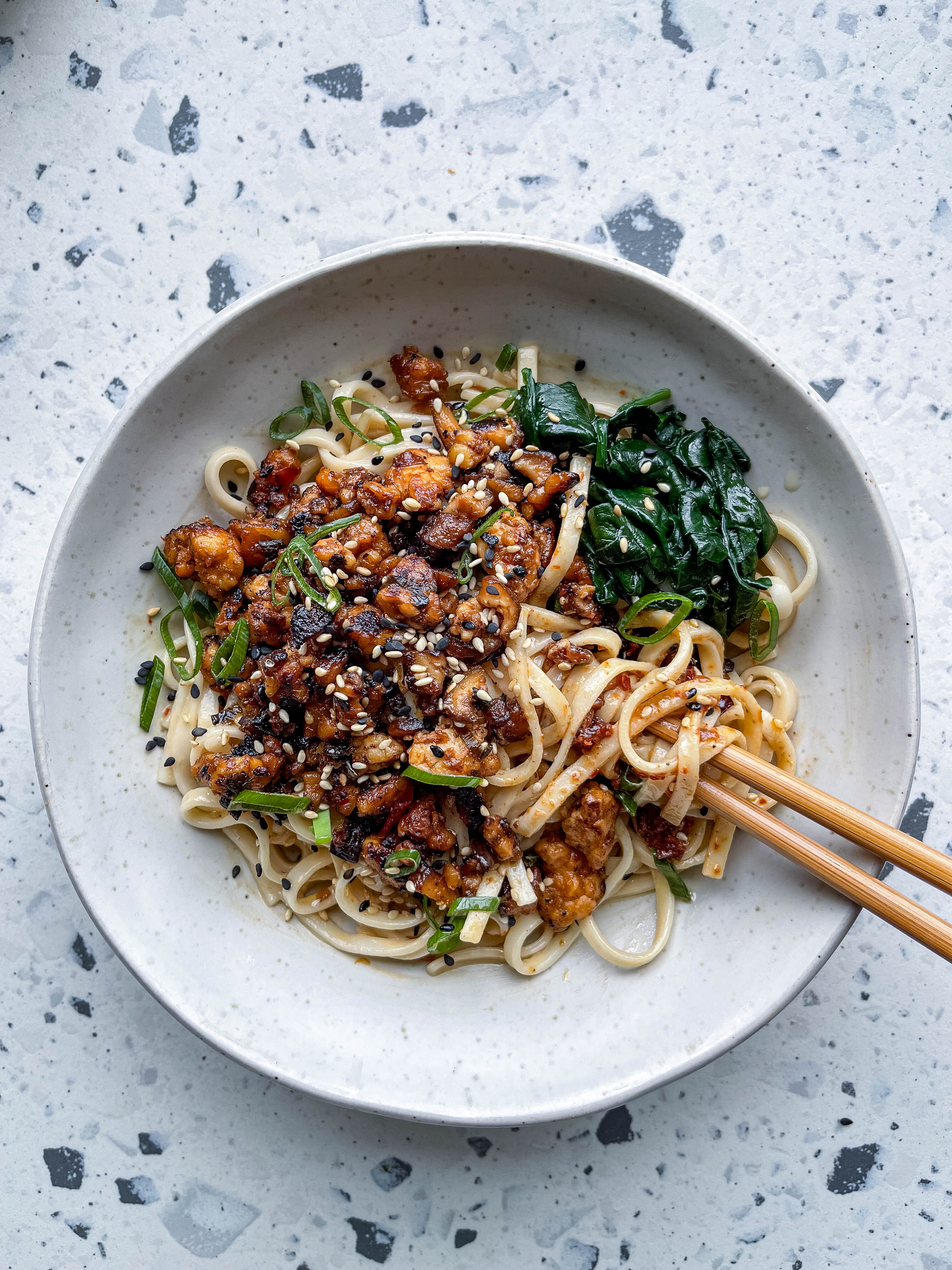 Tempeh Noodles-image