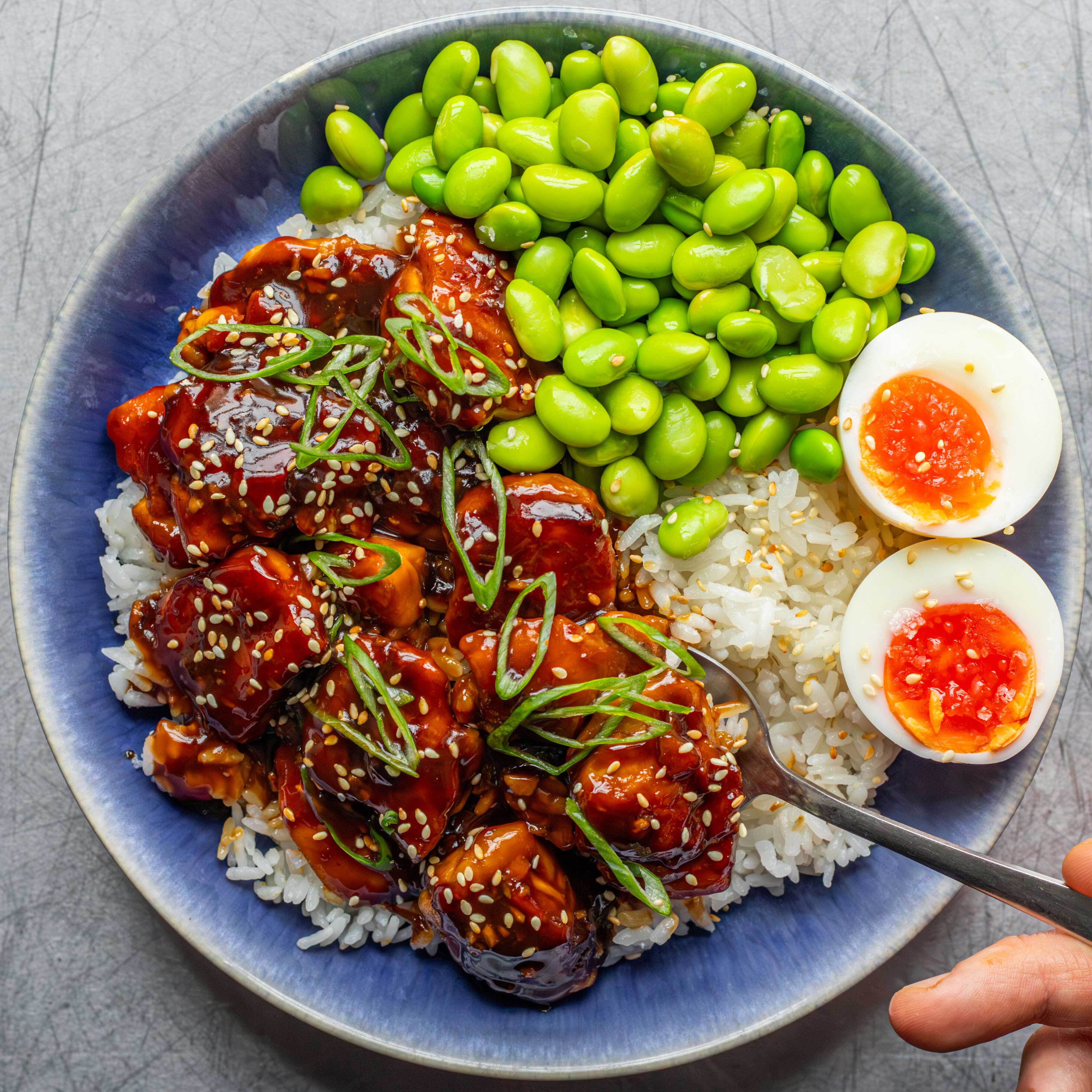 Teriyaki Chicken & Egg Bowl
